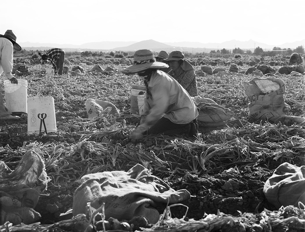 PLS student creates "Las Alas Invisibles" exhibition recognizing migrant farmworkers